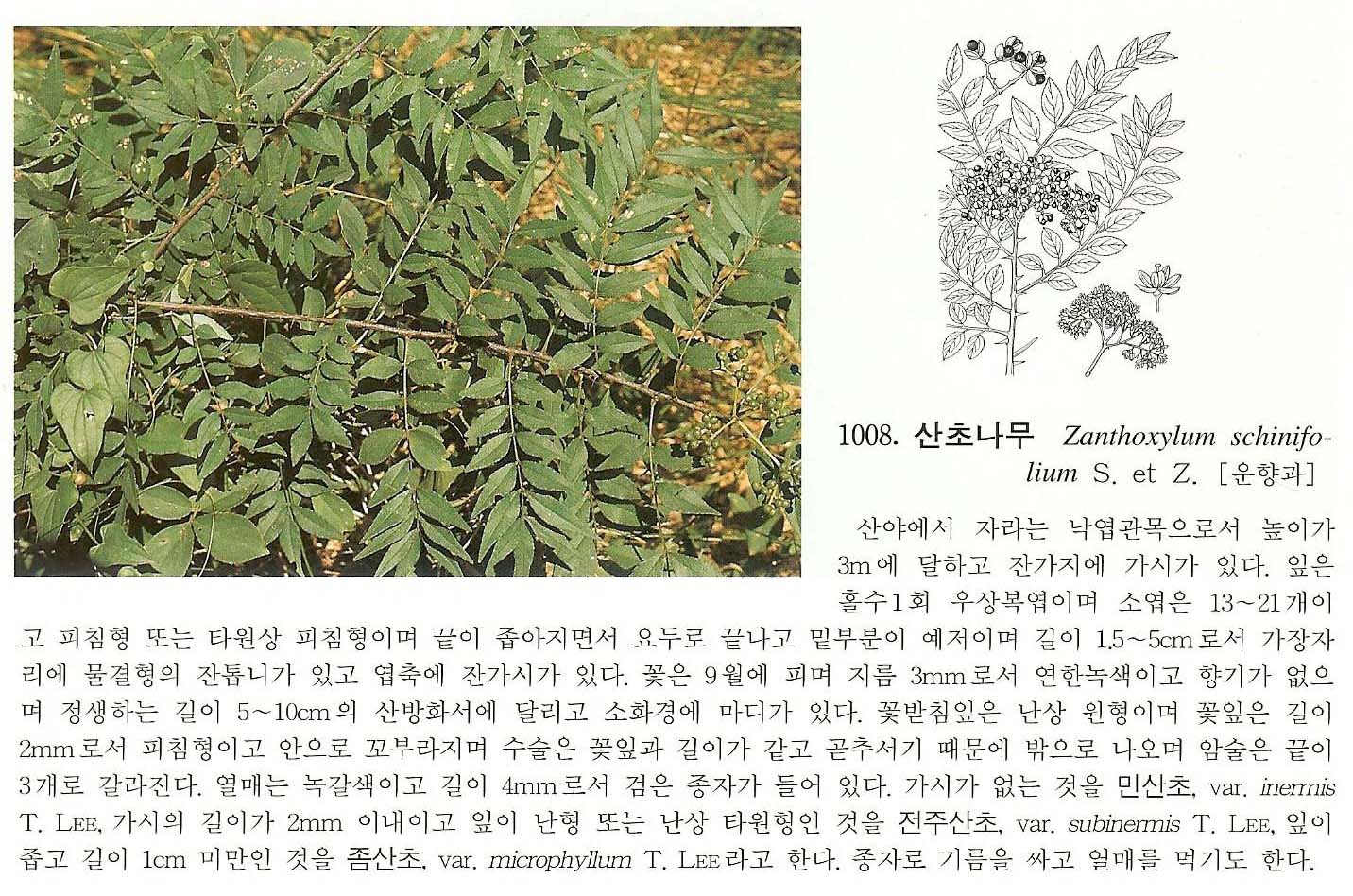 11008.jpg