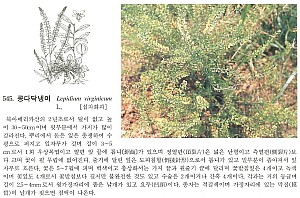 10545.jpg