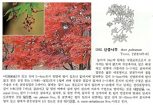 11102.jpg