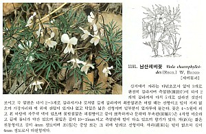 11191.jpg