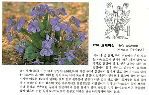 11210.jpg