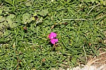 Wuyoungseo20155752_1.jpg Wuyoungseo20155752_1.jpg