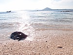 kwonseaeun20141498_1.jpg kwonseaeun20141498_1.jpg
