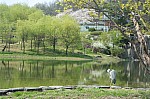 Choi-Jinshil20161304.jpg Choi-Jinshil20161304.jpg