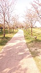 Kim-YaeBin20161460.jpg Kim-YaeBin20161460.jpg