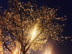 Lee-YooMee20150392.jpg Lee-YooMee20150392.jpg