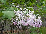 Suh-InHae20140628.jpg Suh-InHae20140628.jpg