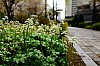 KimHuiwon20160304.jpg KimHuiwon20160304.jpg