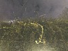 KimHyemin20180151.jpg KimHyemin20180151.jpg