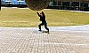 KimHyunjeong20154745.jpg KimHyunjeong20154745.jpg