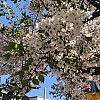 ShinHuigyeong20190918.JPG ShinHuigyeong20190918.JPG