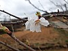 ShinSumin20141856.jpg ShinSumin20141856.jpg