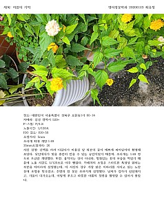 ChoiYujeong20200113.jpg ChoiYujeong20200113.jpg