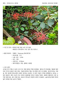 ParkSeohyeon20191222.jpg ParkSeohyeon20191222.jpg