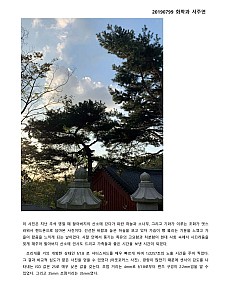 SeoJuyeon20190799.jpg SeoJuyeon20190799.jpg