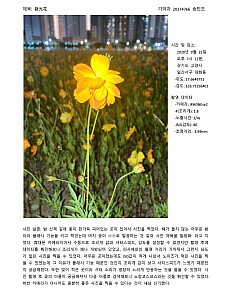 SongMincho20174766.jpg SongMincho20174766.jpg
