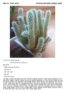 YuChaeyeon20200592.jpg YuChaeyeon20200592.jpg
