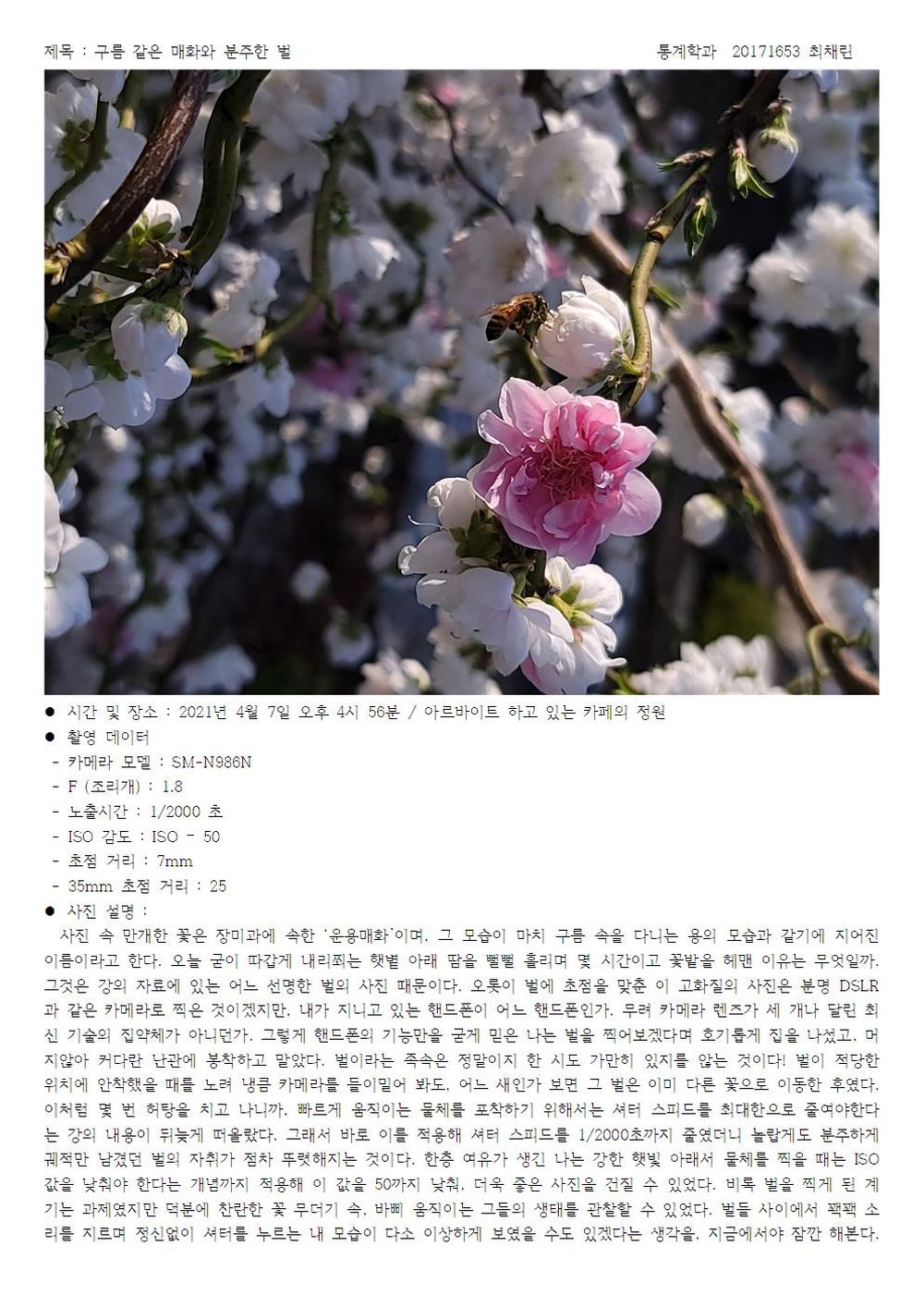 ChaelinChoi20171653Statistics001.jpg