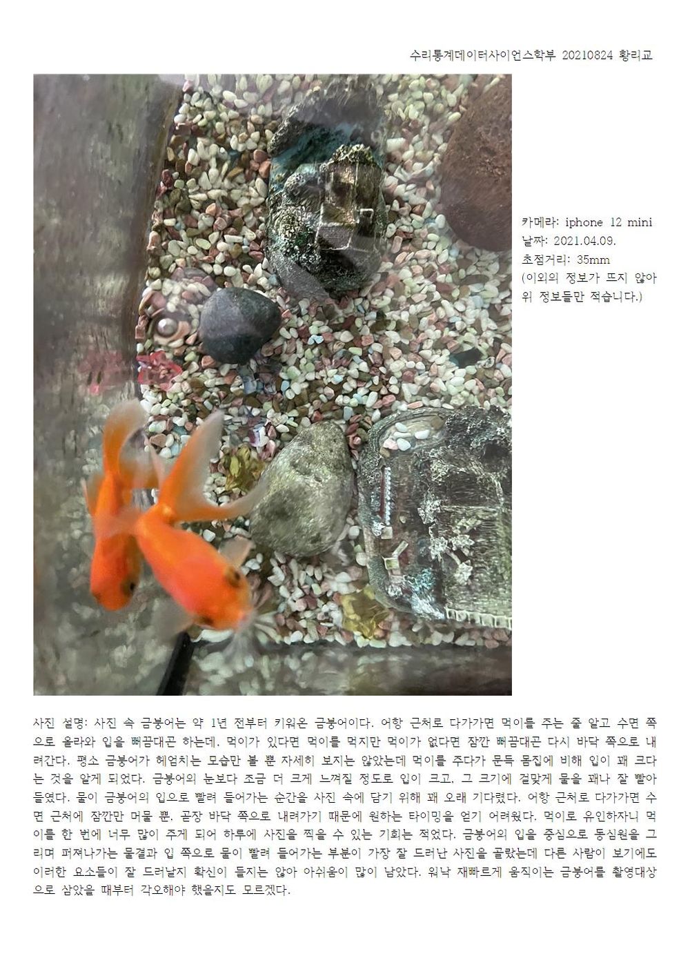 RigyoHwang20210824Mathematicalstatisticsdatascience001.jpg