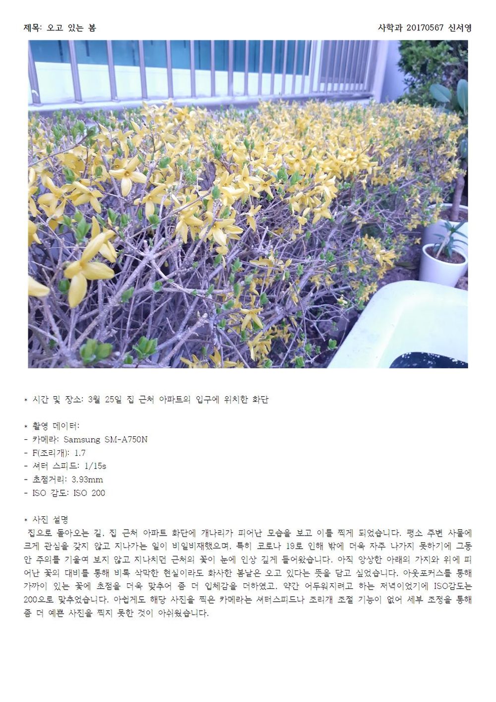 SeoyoungShin20170567Historiography001.jpg