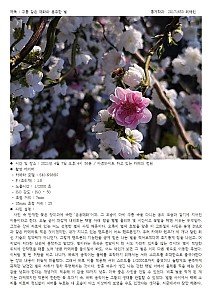 ChaelinChoi20171653Statistics001.jpg ChaelinChoi20171653Statistics001.jpg