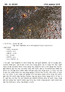 DoyoungKim20200725Mathematics001.jpg DoyoungKim20200725Mathematics001.jpg