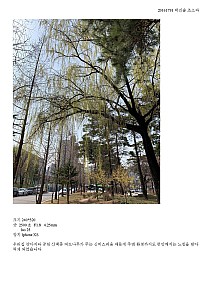 JINSORPART20161791Sculture.jpg JINSORPART20161791Sculture.jpg