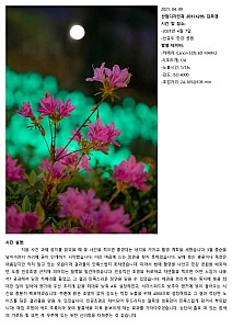 MugyungKim20174295IndustrialDesign.jpg MugyungKim20174295IndustrialDesign.jpg