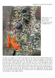 RigyoHwang20210824Mathematicalstatisticsdatascience001.jpg RigyoHwang20210824Mathematicalstatisticsdatascience001.jpg