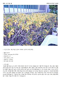 SeoyoungShin20170567Historiography001.jpg SeoyoungShin20170567Historiography001.jpg