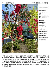 YeeunKim20211205Biofoodengineering001.jpg YeeunKim20211205Biofoodengineering001.jpg