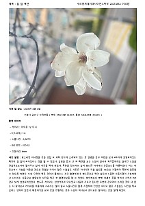 YukyeongLee20210834SchoolofMathmaticsStatisticsandDataScience.jpg YukyeongLee20210834SchoolofMathmaticsStatisticsandDataScience.jpg