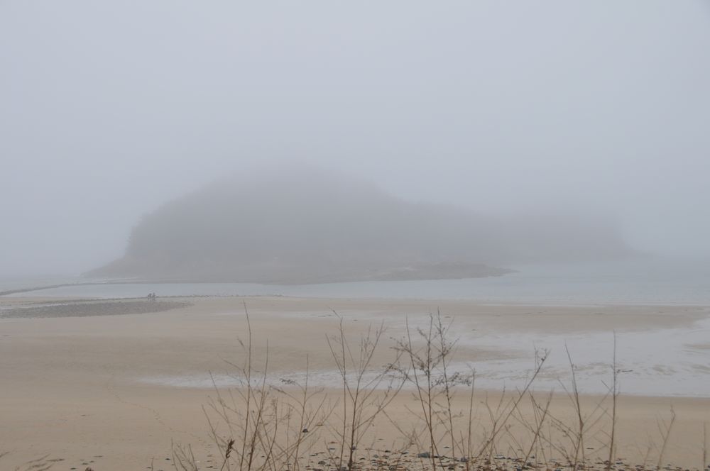 DSC_0580_1.JPG