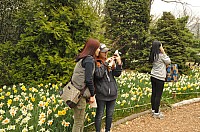 DSC_0258.jpg DSC_0258.jpg