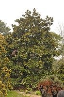 DSC_0264.jpg DSC_0264.jpg