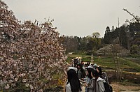 DSC_0274.jpg DSC_0274.jpg