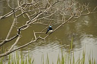 DSC_0276.jpg DSC_0276.jpg