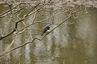 DSC_0282.jpg DSC_0282.jpg