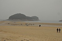 DSC_0295.jpg DSC_0295.jpg