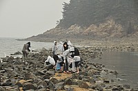 DSC_0296.jpg DSC_0296.jpg