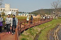DSC_0305.jpg DSC_0305.jpg