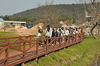 DSC_0306.jpg DSC_0306.jpg