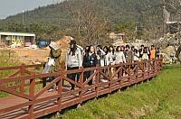 DSC_0307.jpg DSC_0307.jpg