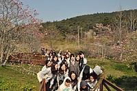 DSC_0309.jpg DSC_0309.jpg