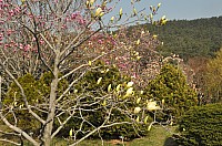 DSC_0310.jpg DSC_0310.jpg