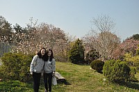 DSC_0311.jpg DSC_0311.jpg