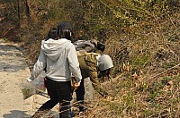 DSC_0312.jpg DSC_0312.jpg
