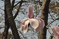 DSC_0320.jpg DSC_0320.jpg