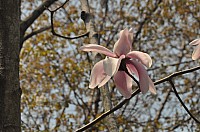 DSC_0322.jpg DSC_0322.jpg