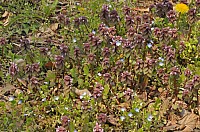 DSC_0326.jpg DSC_0326.jpg